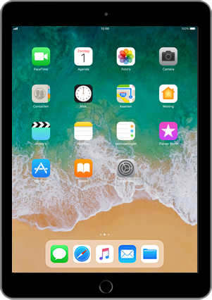 Apple iPad 9.7 inch 6th generation (Model A1954)