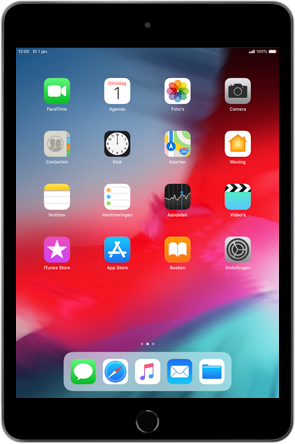 Apple ipad-mini-5-7-9-inch-2019-model-a2124