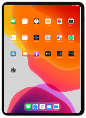 Apple iPad Pro 11 inch 2nd generation (2020) (Model A2230)