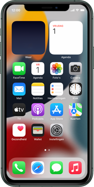 Apple iphone 11 pro met ios 15 model a2215