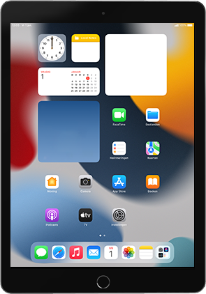 Apple iPad 10.2 inch 4G 9th generation (2021) (Model A2604)