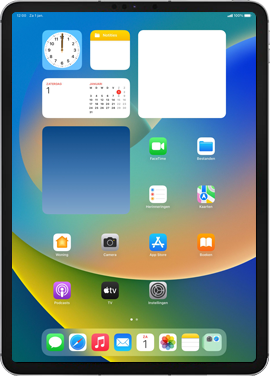 Apple iPad Pro 11 inch 5G 3rd generation (2021) (Model A2459) iPadOS 16