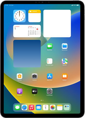 Apple iPad Pro 11 inch 5G 4th generation (2022) (Model A2761)