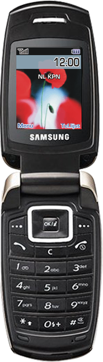Samsung X500