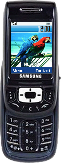 Samsung D500