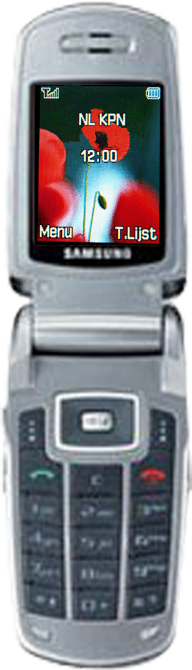 Samsung X550