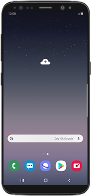 Samsung Galaxy S8+ - Android Pie (SM-G955F)
